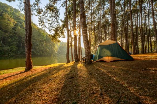 Image for event: Camping 101
