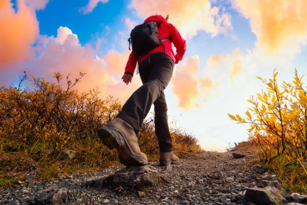 Image for event: Hiking Safety